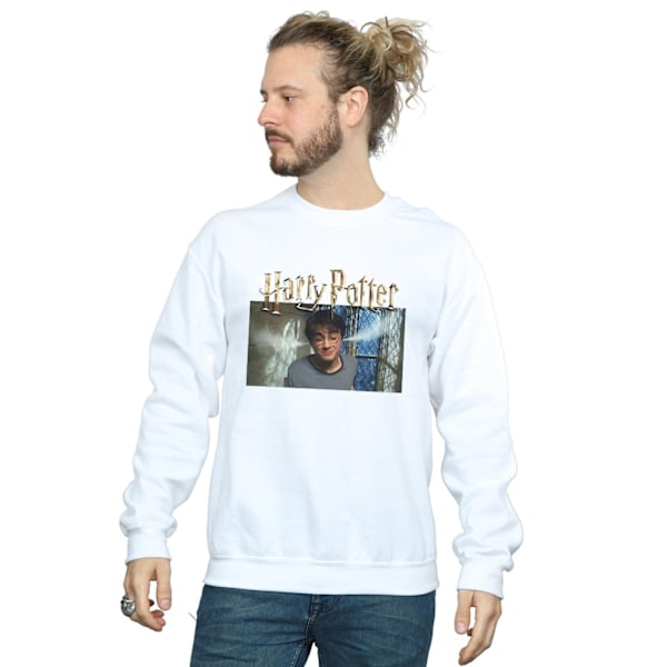 Harry Potter Herr Steam Ears Sweatshirt 5XL Vit White 5XL