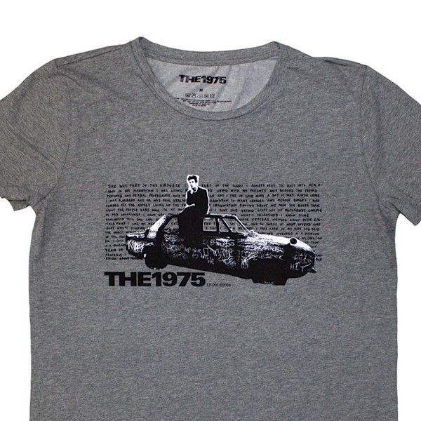 The 1975 Dam/Damtröja Bilfoto T-Shirt XL Grå Grey XL