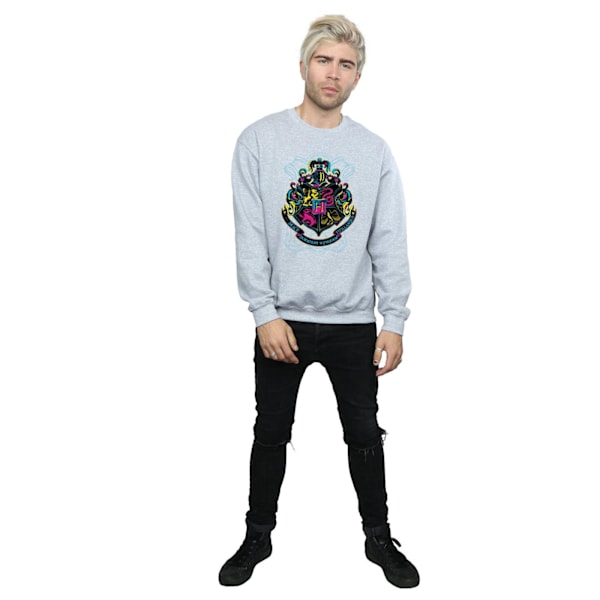 Harry Potter Neon Hogwarts Crest Sweatshirt XL Sports Grey för män Sports Grey XL