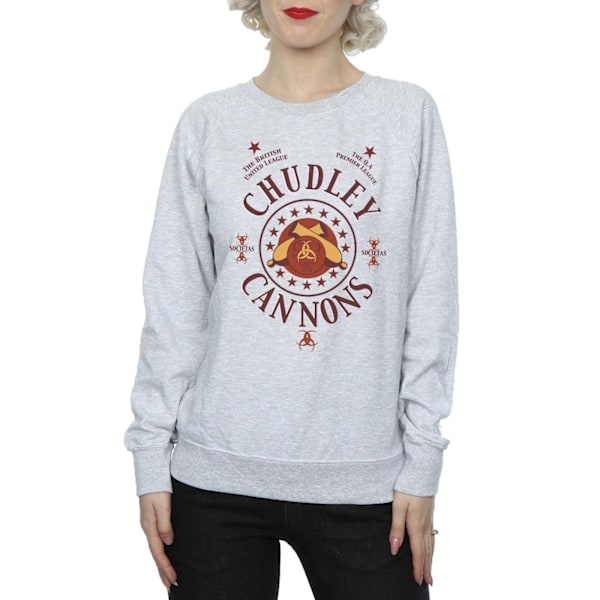 Harry Potter Dam/Kvinnor Chudley Cannons Logotyp Sweatshirt S He Heather Grey S