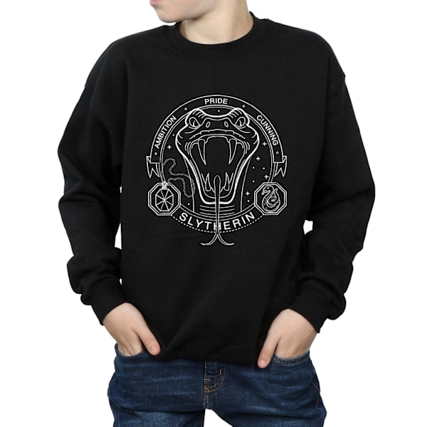 Harry Potter Pojkar Slytherin Seal Sweatshirt 5-6 År Svart Black 5-6 Years