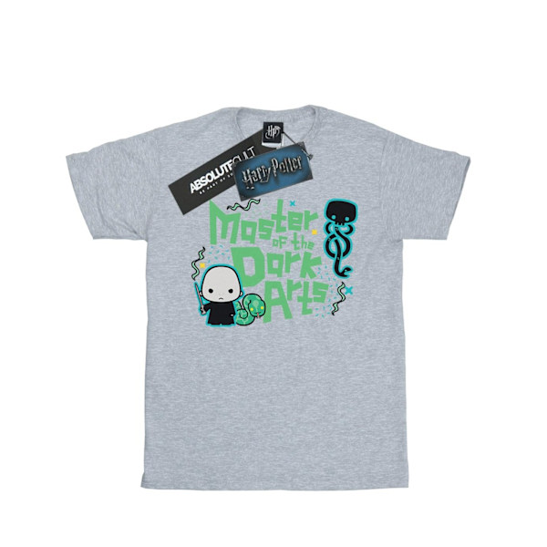 Harry Potter Boys Voldemort Dark Arts Junior T-shirt 5-6 år Sports Grey 5-6 Years