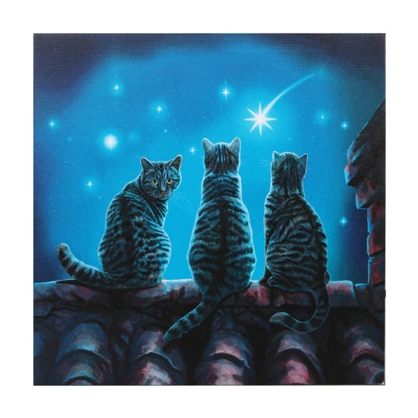 Lisa Parker Wish Upon A Star Light Up Canvas Plaque 30cm x 30cm Blue 30cm x 30cm