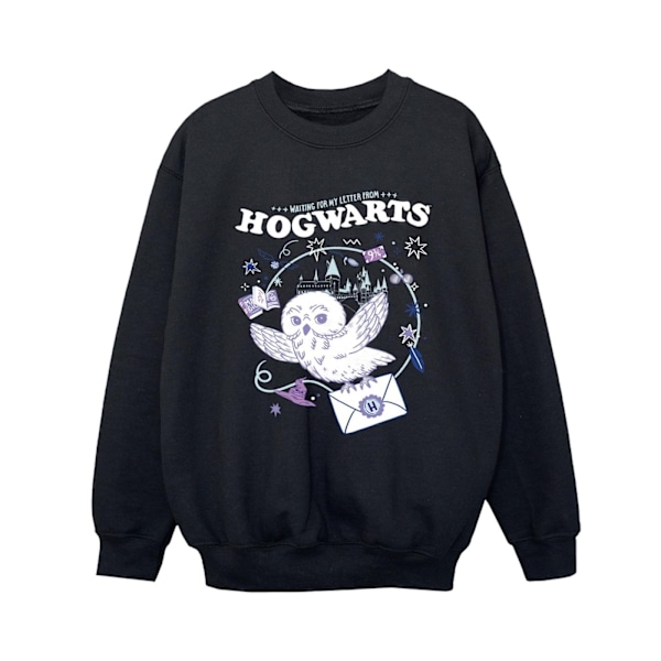 Harry Potter Pojkar Uggla Brev Från Hogwarts Sweatshirt 9-11 År Black 9-11 Years