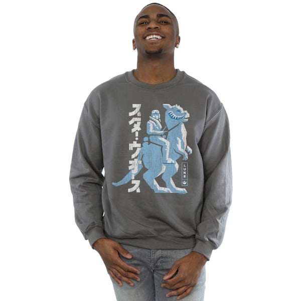 Star Wars Kanji Luke Hoth Sweatshirt S Charcoal för män Charcoal S