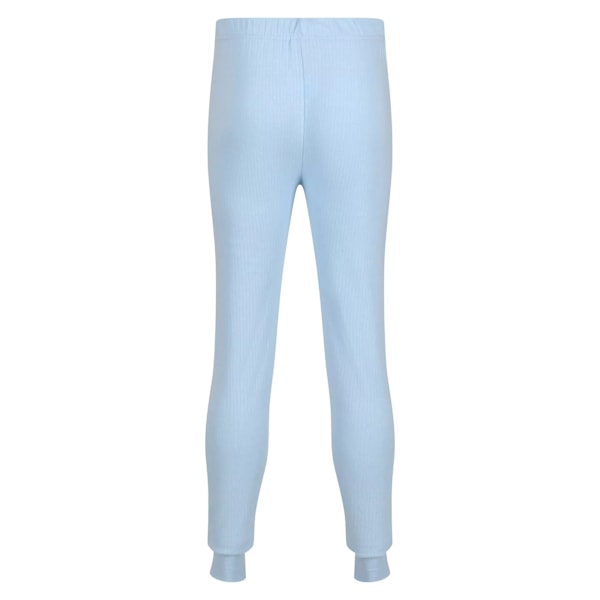Regatta Professional Herr Termobyxor L Blå Blue L
