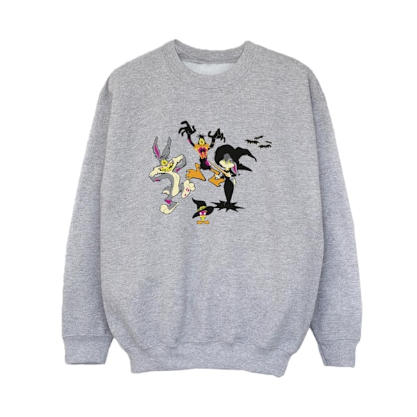 Looney Tunes Boys Halloween Friends Sweatshirt 7-8 år Sport Sports Grey 7-8 Years