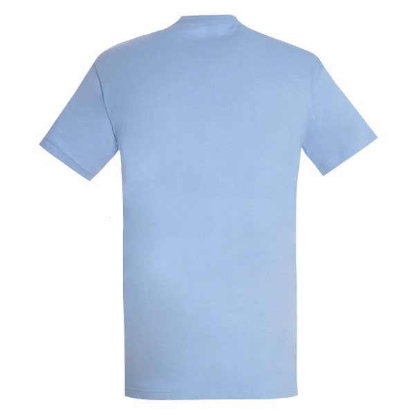 SOLS Imperial Herr T-shirt Kort Ärm Tungvikt S Ljusblå Sky Blue S