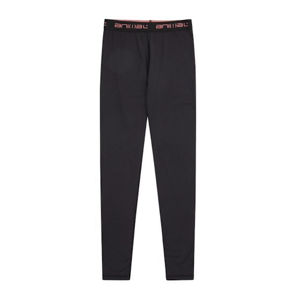 Animal Piste Base Layer Leggings för Kvinnor/Dam 18 UK Jet Black Jet Black 18 UK