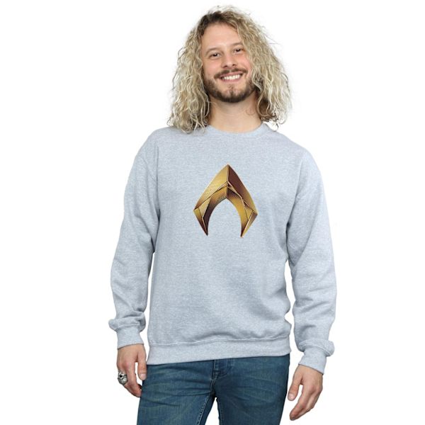 DC Comics Herr Aquaman Emblem Sweatshirt XL Sports Grey Sports Grey XL