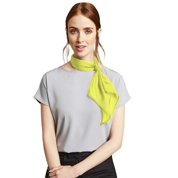 Premier Dam/Kvinnors Arbets Chiffon Formell Scarf En Storlek Lime Lime One Size