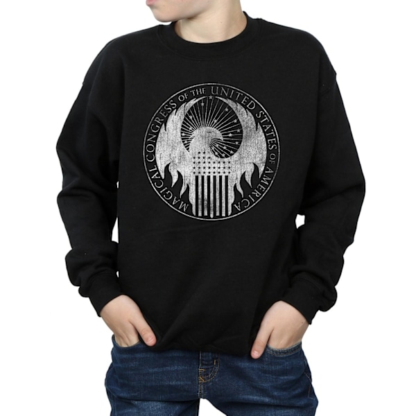 Fantastiska vidunder Pojkar Distressed Magical Congress Sweatshirt 9- Black 9-11 Years