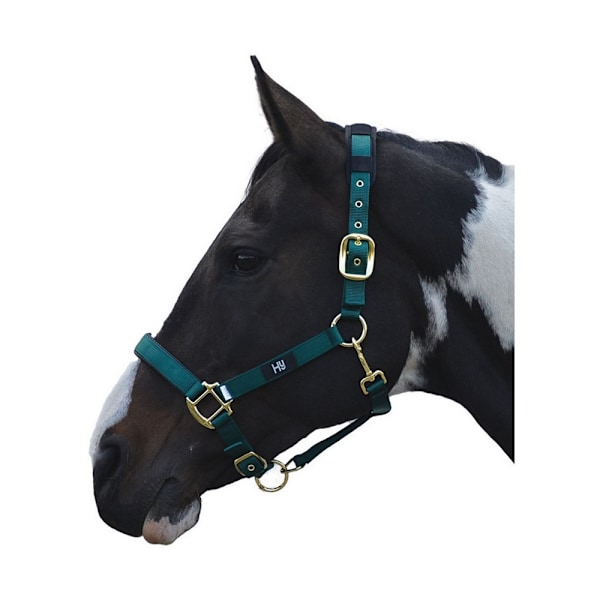 Hy Deluxe Vadderat Grimskaft Cob Flaskgön Bottle Green Cob