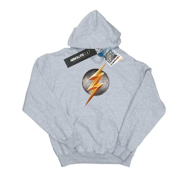 DC Comics Boys Justice League Movie Flash Emblem Hoodie 12-13 Y Sports Grey 12-13 Years