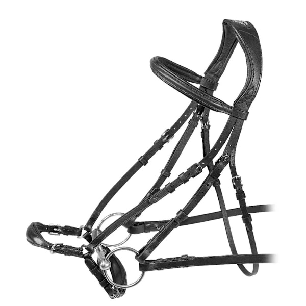 Velociti Rapida Läder Häst Nosgrimma Bridle Pony Svart Black Pony