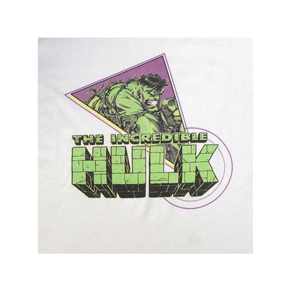 Hulk Unisex Vuxen Comic T-Shirt M Vit White M