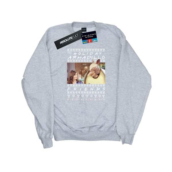 Friends Dam/Damer Fair Isle Holiday Armadillo Sweatshirt M Sports Grey M