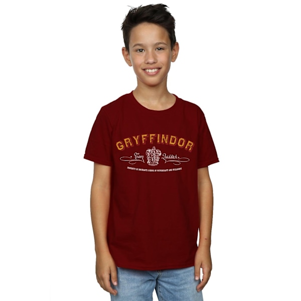Harry Potter Pojkar Gryffindor Team Quidditch T-shirt 3-4 år B Burgundy 3-4 Years