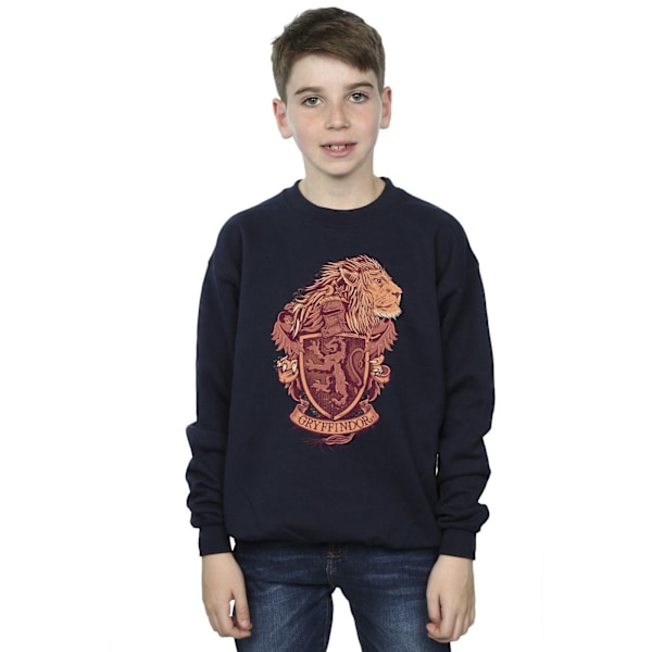 Harry Potter Pojkar Gryffindor Sketch Crest Sweatshirt 3-4 År Navy Blue 3-4 Years