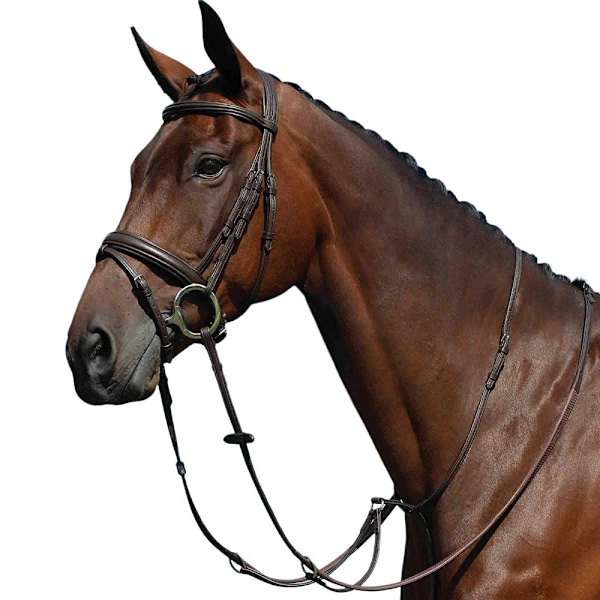 Collegiate Syntovia+ Enkel Flat Running Martingale Cob Brun Brown Cob