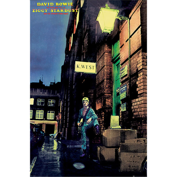 David Bowie The Rise and Fall of Ziggy Stardust Album Poster On Multicoloured One Size