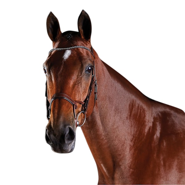 Collegiate Comfitec Kristall Läder Bridle Warmblood Brun Brown Warmblood