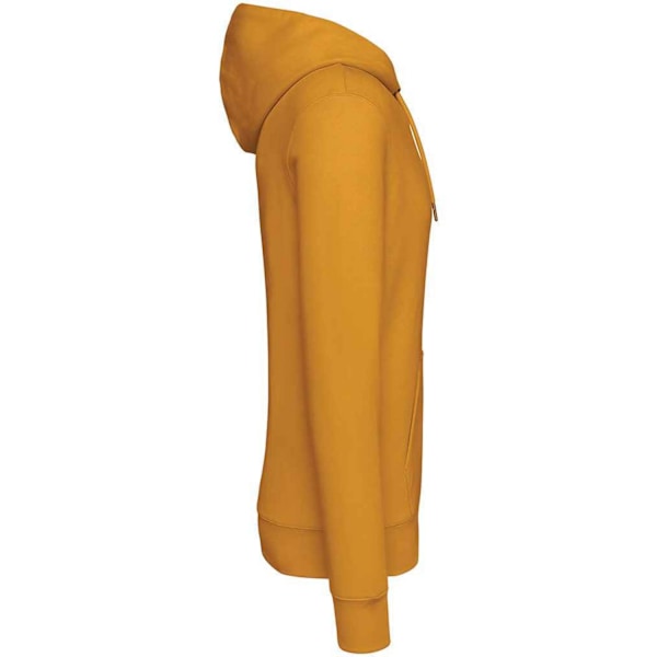 Native Spirit Unisex Vuxen Heavyweight Hoodie S Curcuma Curcuma S