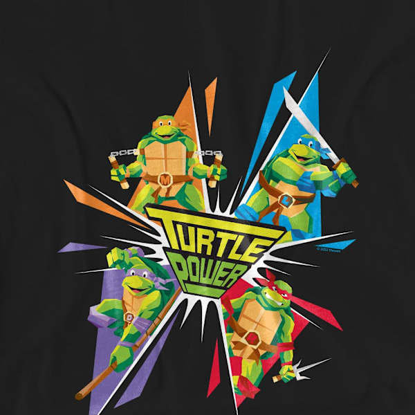 Teenage Mutant Ninja Turtles Unisex Vuxen Turtle Power T-Shirt Black S