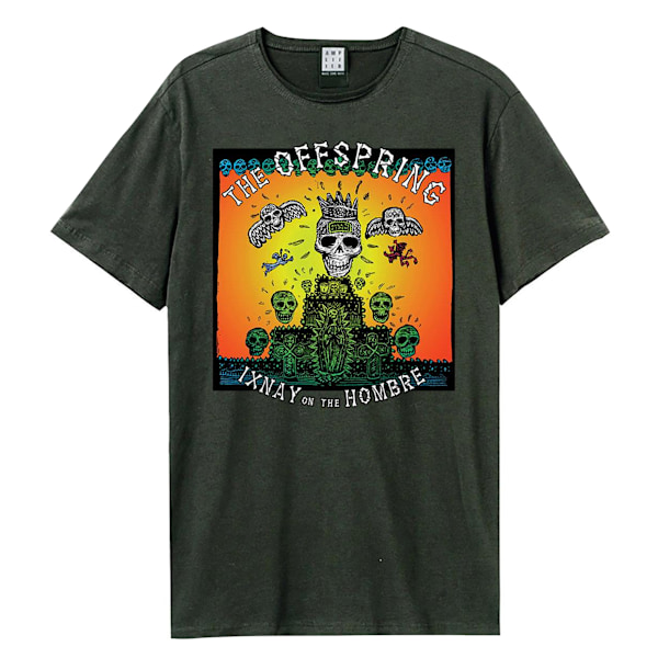 Amplified Unisex Vuxen Ixnay On The Hombre Offspring T-Shirt XL Charcoal XL