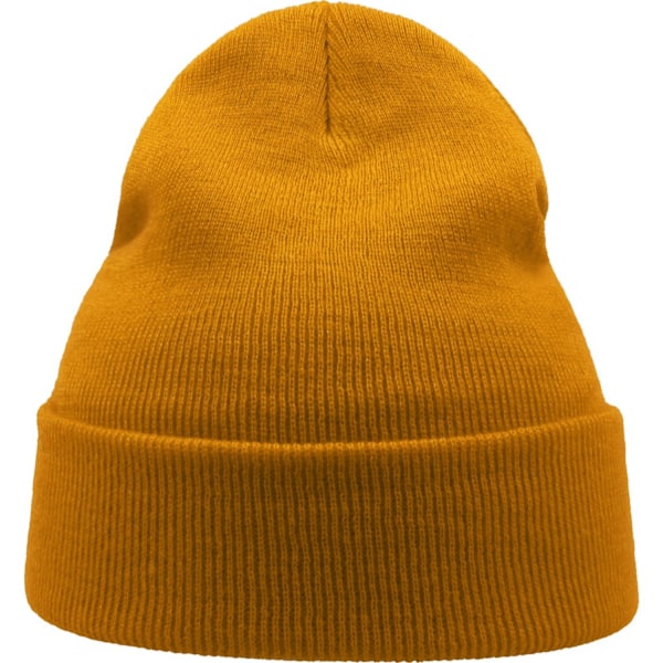 Atlantis Unisex Vuxen Vind Återvunnen Cuffad Mössa En Storlek Senap Mustard One Size