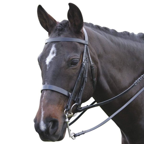 Kincade Leather Show Weymouth Bridle II Pony Black Black Pony