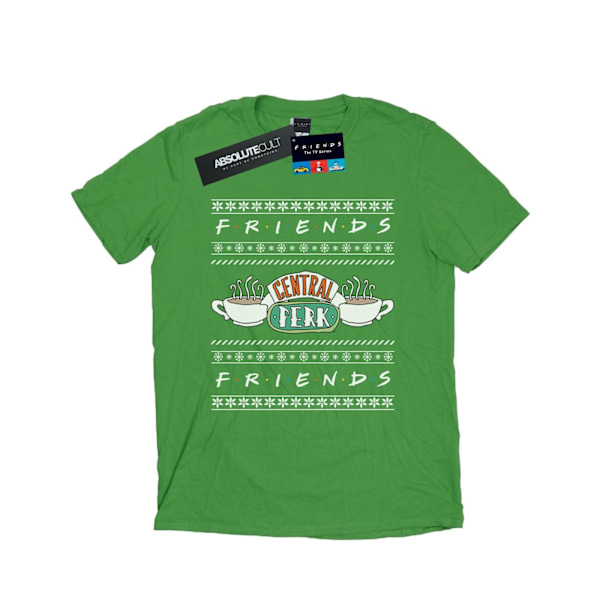 Friends Dam/Damer Fair Isle Central Perk Bomull Boyfriend T-shirt Irish Green XXL