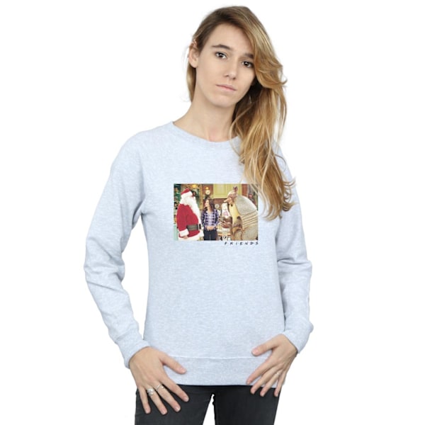 Friends Dam/Damer The Holiday Armadillo Sweatshirt XXL Spor Sports Grey XXL