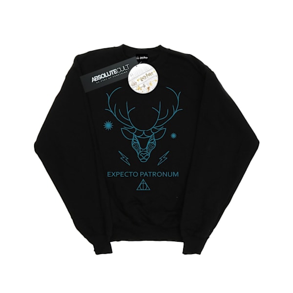 Harry Potter Expecto Patronum Sweatshirt för män 4XL Svart Black 4XL