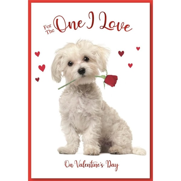 Simon Elvin One I Love Puppy Alla hjärtans dag-kort (Paket med White/Red One Size