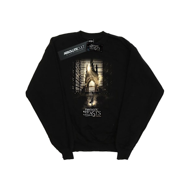 Fantastiska vidunder Kvinnors/Damers Film Affisch Sweatshirt L Svart Black L