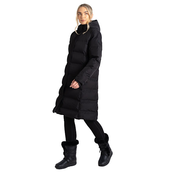 Dare 2B Vandringsjacka med vaddering för kvinnor/damer, storlek 6 UK, svart Black 6 UK