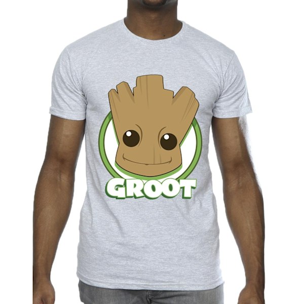 Guardians Of The Galaxy Herr Groot Badge T-Shirt M Sports Grey Sports Grey M