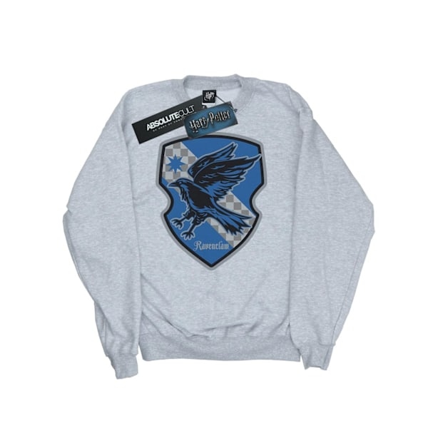 Harry Potter Pojkar Ravenclaw Crest Flat Sweatshirt 9-11 År Sp Sports Grey 9-11 Years
