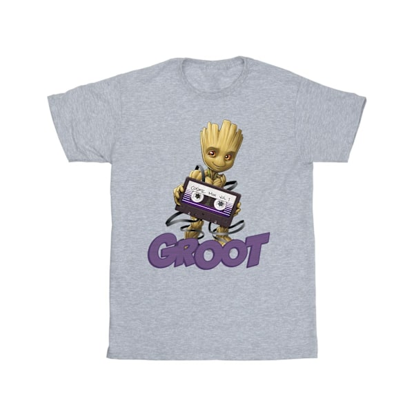 Guardians Of The Galaxy Boys Groot Kassett T-shirt 12-13 år Sports Grey 12-13 Years