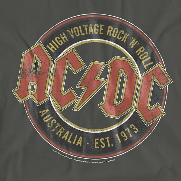 AC/DC Unisex Vuxen Est. ´73 T-Shirt XL Kolgrå Charcoal XL