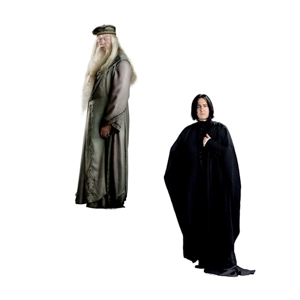 Harry Potter Deluxe Karaktärsstickers (50-pack) One Size Mu Multicoloured One Size