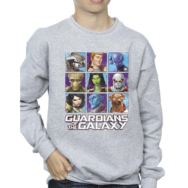 Guardians Of The Galaxy Pojkar Karaktär Rutor Sweatshirt 7-8 År Sports Grey 7-8 Years