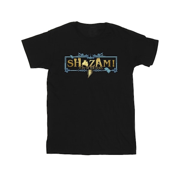 DC Comics herr Shazam Fury Of The Gods gyllene logotyp T-shirt XL B Black XL