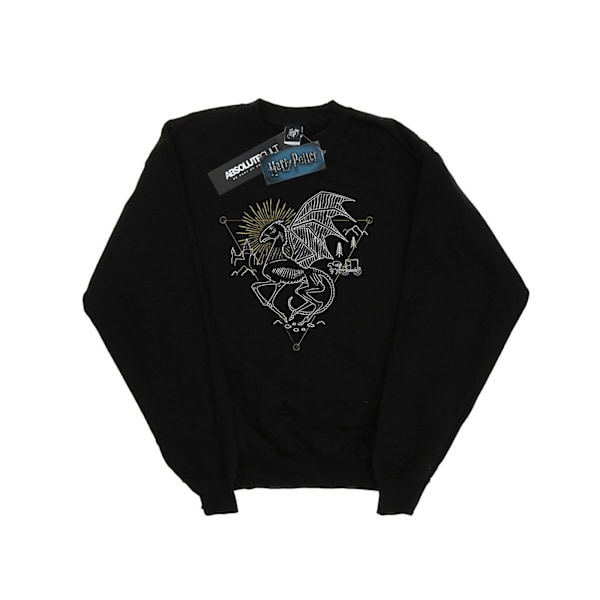 Harry Potter Dam/Damer Thestral Linje Art Sweatshirt M Svart Black M