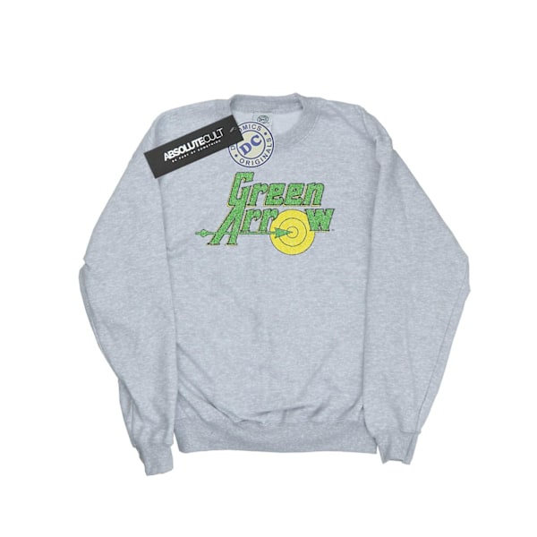 DC Comics Dam/Kvinnor Grön Arrow Crackle Logo Sweatshirt L H Heather Grey L