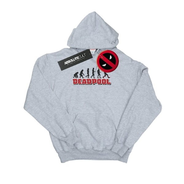 Marvel Deadpool Evolution Hoodie XXL Sports Grey för män Sports Grey XXL