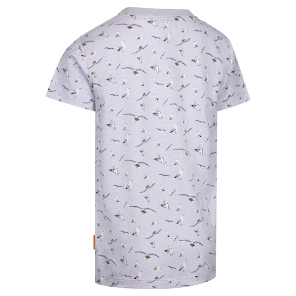 Trespass Lochside Seagull T-shirt för pojkar, 3-4 år, Grey Skies Grey Skies 3-4 Years