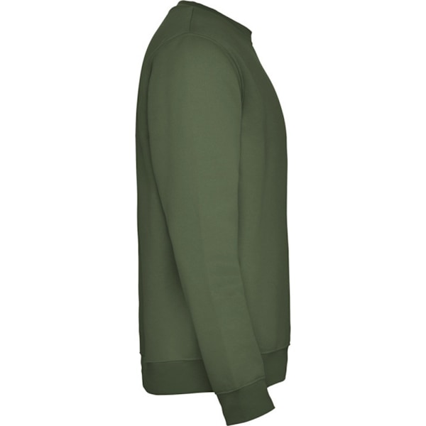 Roly Unisex Vuxen Clasica Crew Neck Sweatshirt M Venture Grön Venture Green M