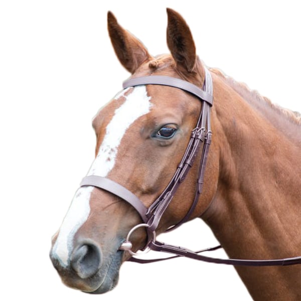 Avignon Hunter Läder Häst Cavesson Bridle Liten Ponny Havana Havana Small Pony